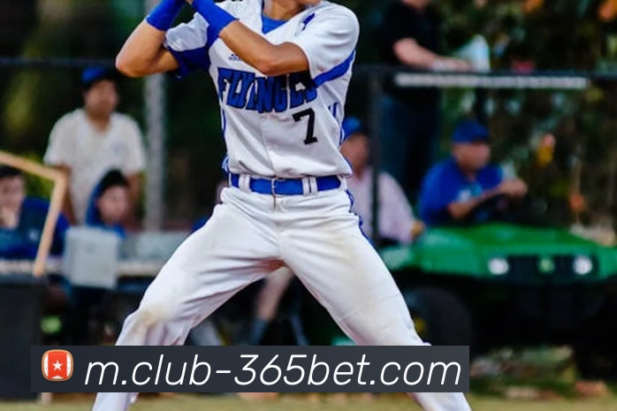 365bet平台生态图